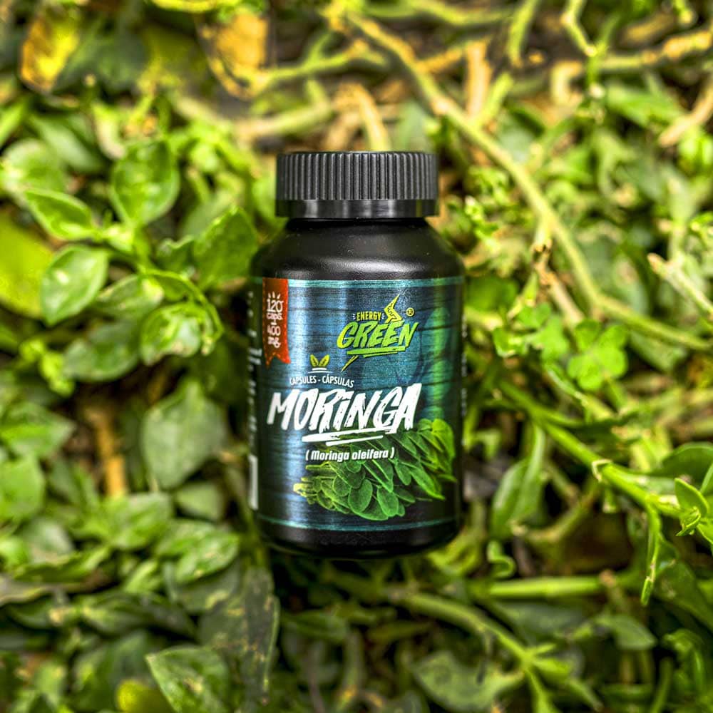 Moringa Capsules (Moringa oleifera) | Superfood Energy & Immune Support | 120 Vegan Pills (500 mg) | Non-GMO — image 4