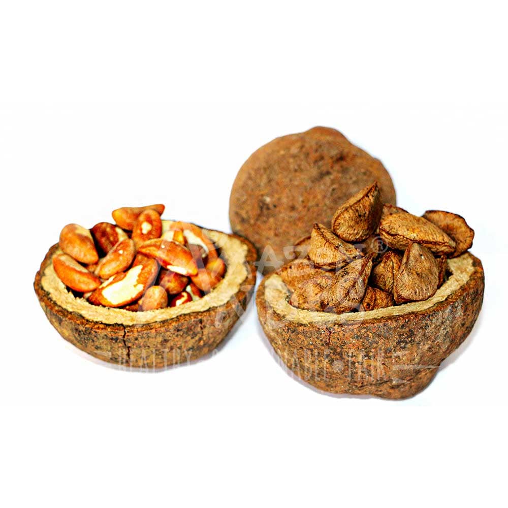 Brazil Nut Oil Softgel Capsules | Selenium-Rich Thyroid & Antioxidant Support | 100 Pills (400 mg) — image 3