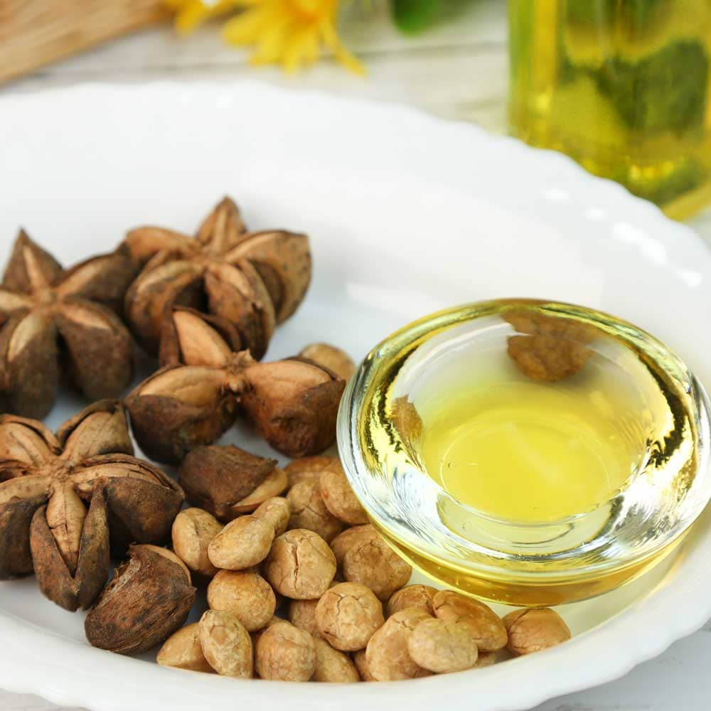 Cold-Pressed Sacha Inchi Oil | Plant Omega-3-6-9 (Mercury-Free) | 250 ml (8.45 fl oz) — image 4